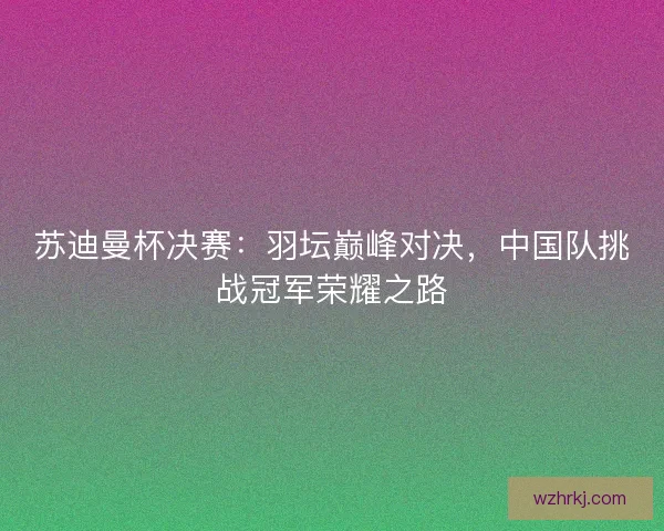 苏迪曼杯决赛：羽坛巅峰对决，中国队挑战冠军荣耀之路