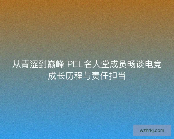 从青涩到巅峰 PEL名人堂成员畅谈电竞成长历程与责任担当